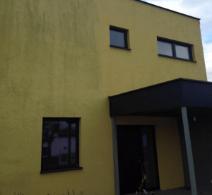 gelbe Hausfassade mit Algenbefall